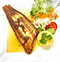 Belgische Noordzeetong in hoeveboter